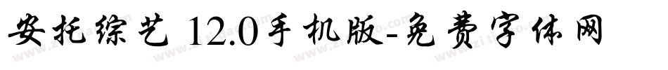 安托综艺 12.0手机版字体转换